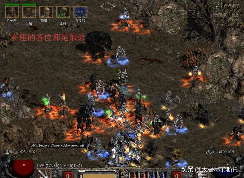暗黑2德鲁伊加点_暗黑2德鲁伊加点和技能