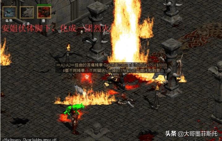 暗黑2德鲁伊加点_暗黑2德鲁伊加点和技能