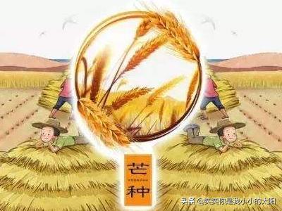 古人在芒种节气常做的_古人在芒种节气常做的事