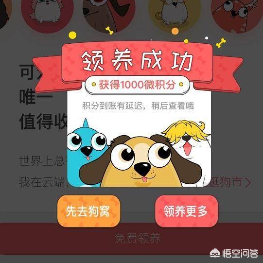 莱茨狗_莱茨狗官网登录