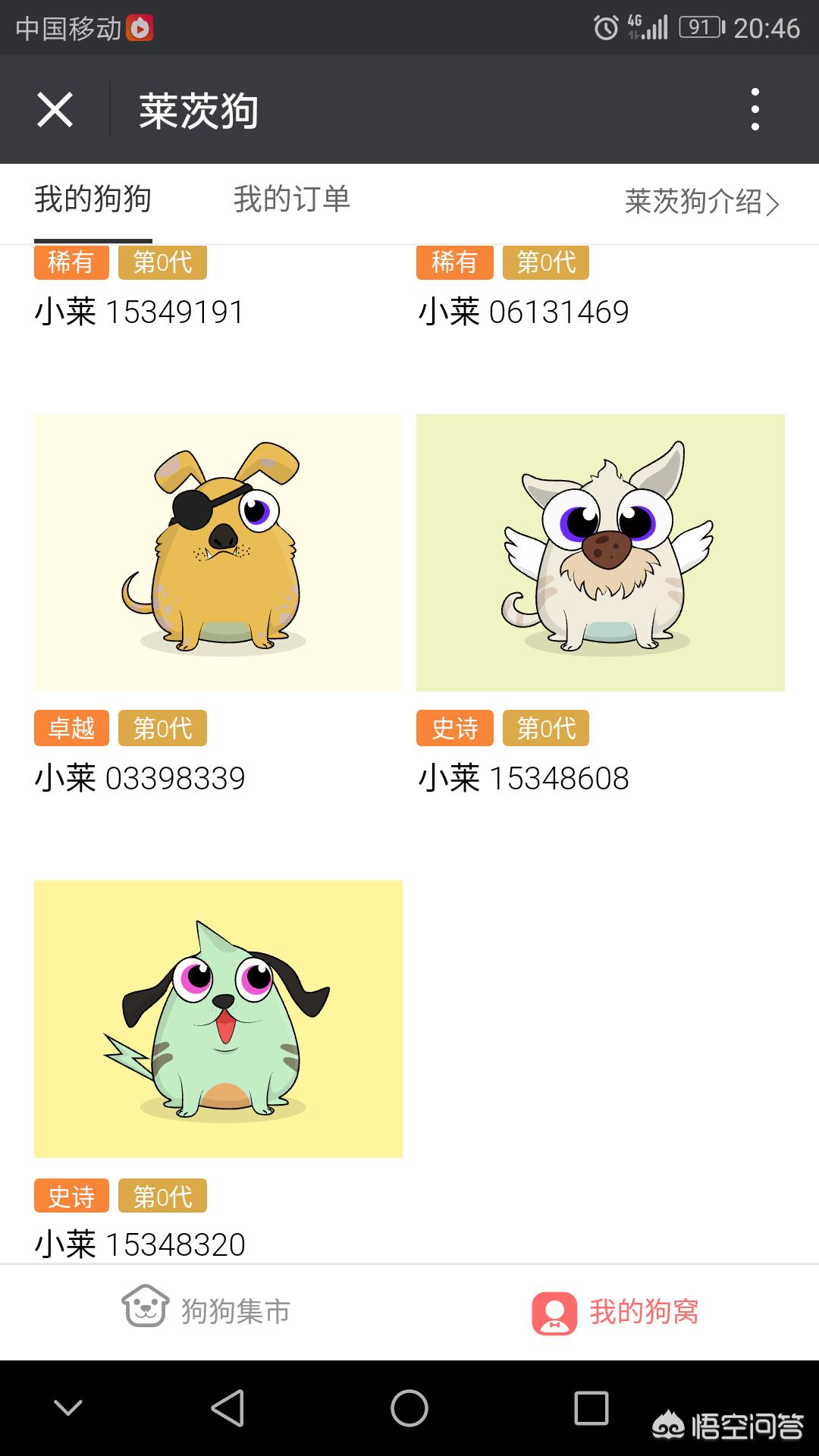 莱茨狗_莱茨狗官网登录