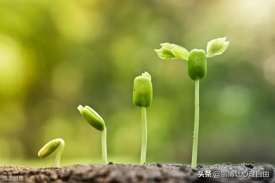 灵魂支配_灵魂支配者