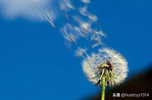 灵魂支配_灵魂支配者
