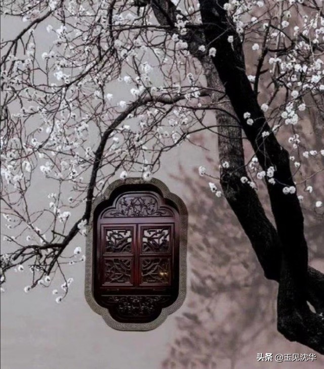 古董就是玩_古董就是玩儿