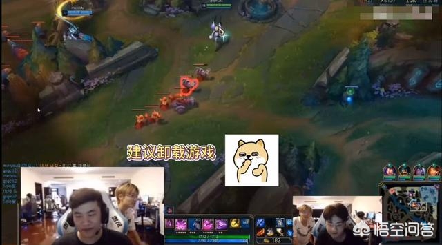 乐言加入vg_乐言加入nip