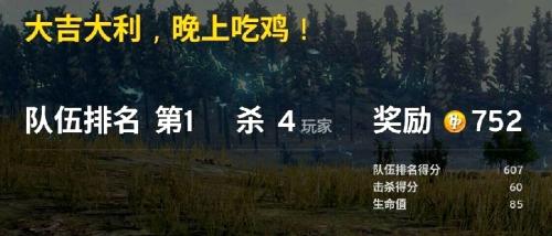 搜索和平精英_搜索和平精英游戏