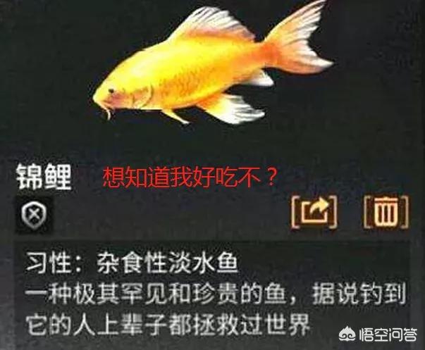 明日之后食谱_明日之后食谱大全图鉴