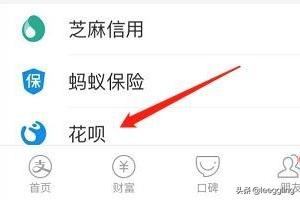 蚂蚁花呗怎么还款_蚂蚁花呗怎么还款啊