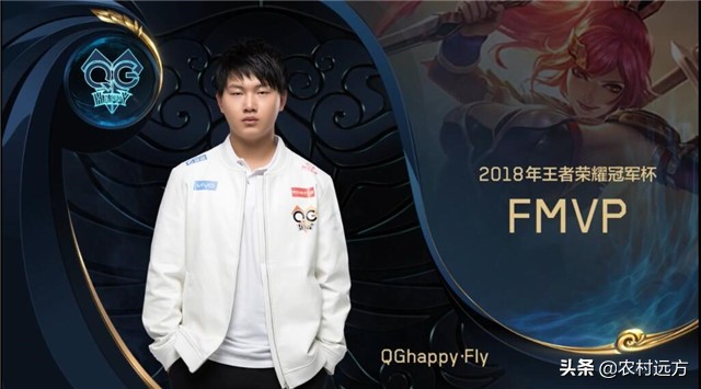 fly的fmvp皮肤有哪些_fly的fmvp皮肤有几个