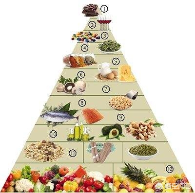 以下哪种动物天生就是高血压_以下哪种动物天生就是高血压?