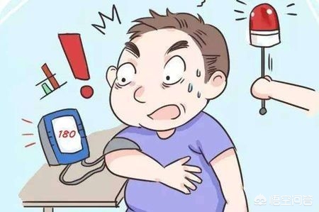 以下哪种动物天生就是高血压_以下哪种动物天生就是高血压?