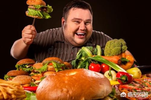以下哪种动物天生就是高血压_以下哪种动物天生就是高血压?