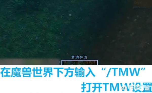 tmw_tmw缩写