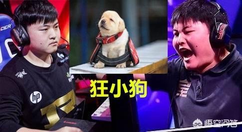 rng战队成员名单_23rng战队成员名单