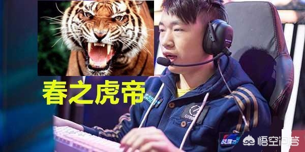 rng战队成员名单_23rng战队成员名单