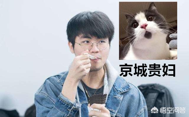 rng战队成员名单_23rng战队成员名单