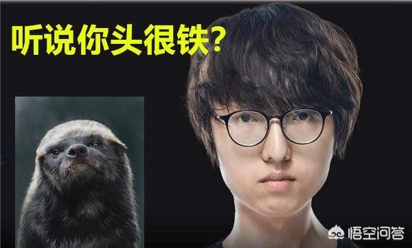 rng战队成员名单_23rng战队成员名单