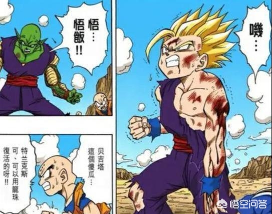 小沙鲁_小沙鲁战斗力