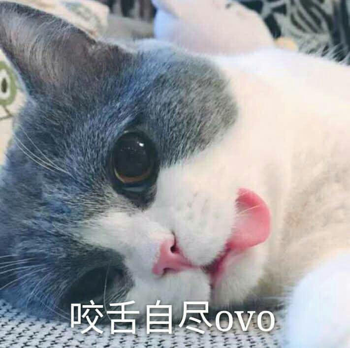 炉石传说冰封王座_炉石传说冰封王座卡包开不了