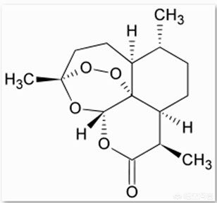 青蒿素从哪里提取出来_青蒿素从哪里提取出来的