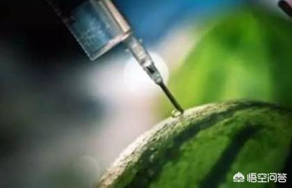 西瓜子是夏天常吃的西瓜里的籽吗_西瓜子吃的是果实还是种子