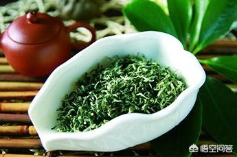 洞庭碧螺春产自哪里蚂蚁庄园_洞庭碧螺春是什么茶