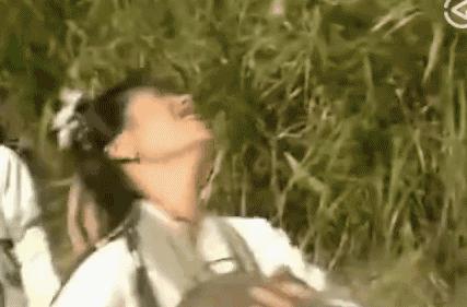 三尸脑神丹_三尸脑神丹是什么东西