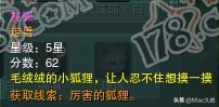 灰狐_灰狐狸图片