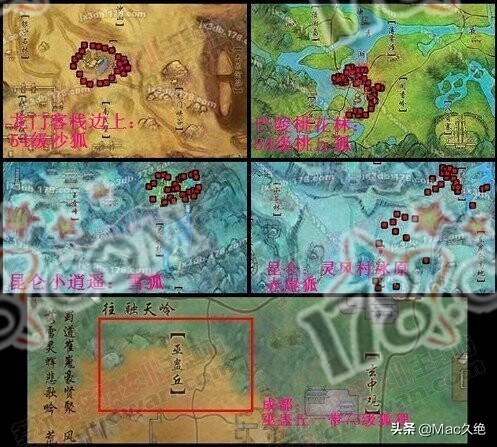 灰狐_灰狐狸图片