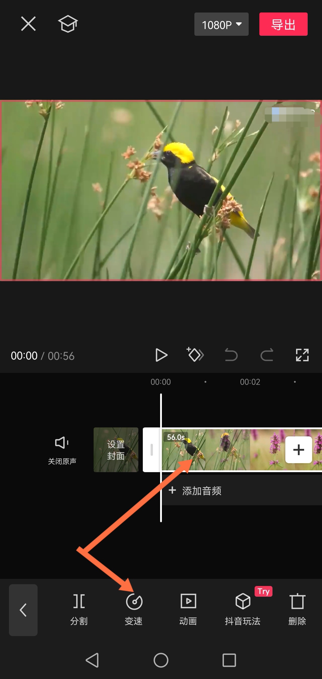 快放电影_快放影视