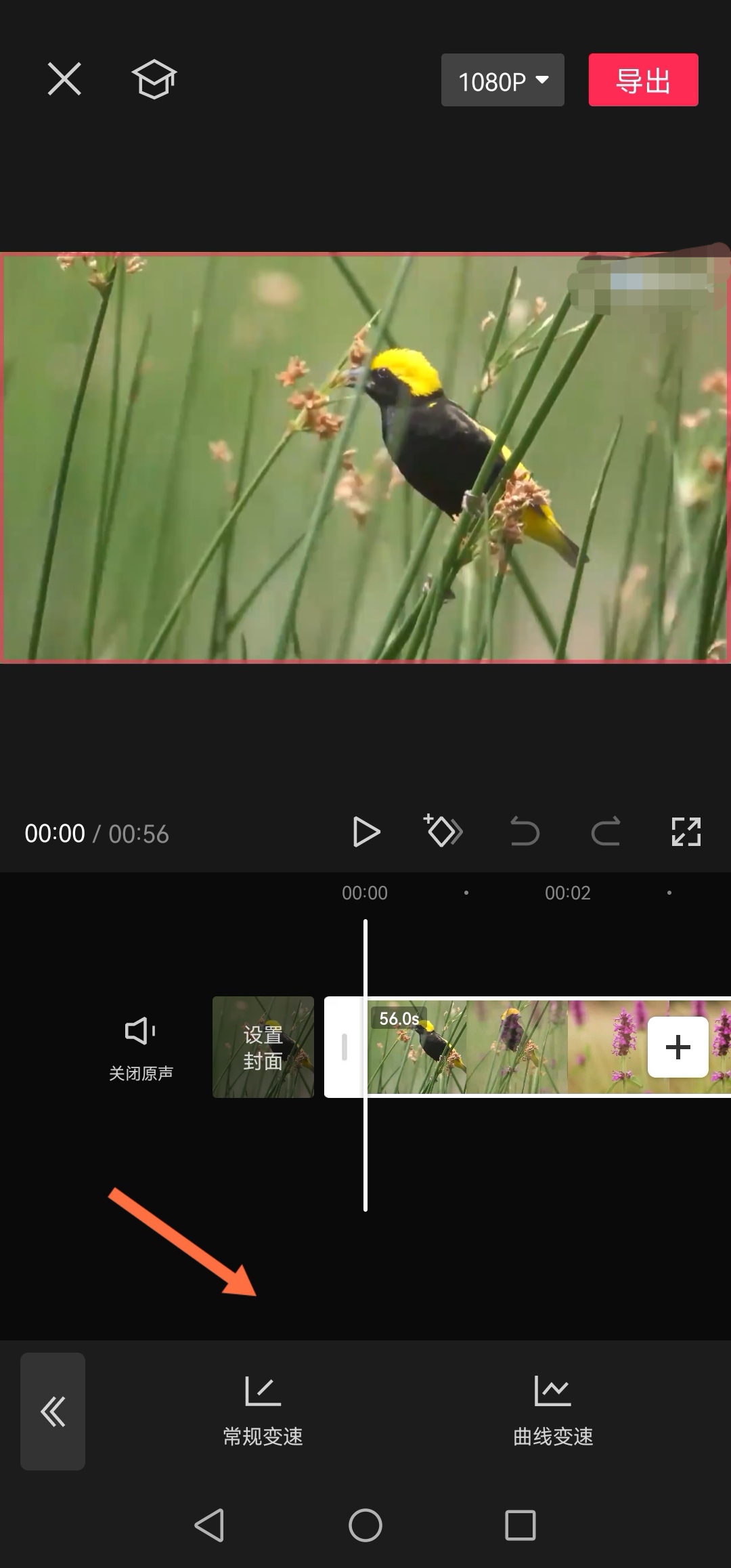 快放电影_快放影视