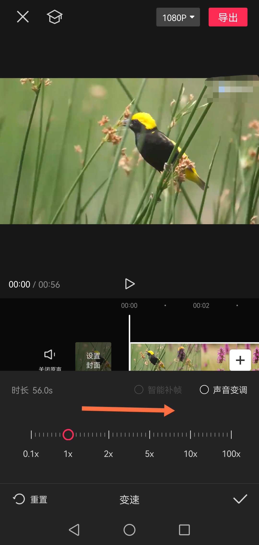 快放电影_快放影视
