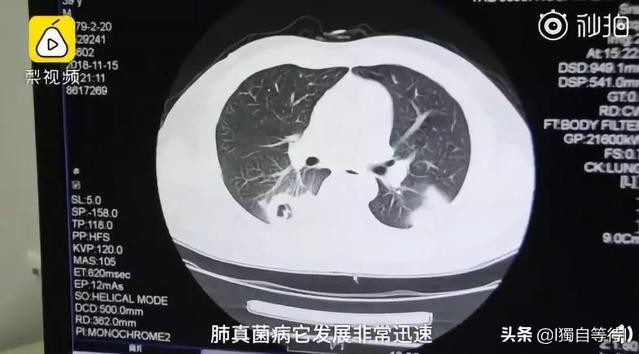 ps恶搞_ps恶搞图片