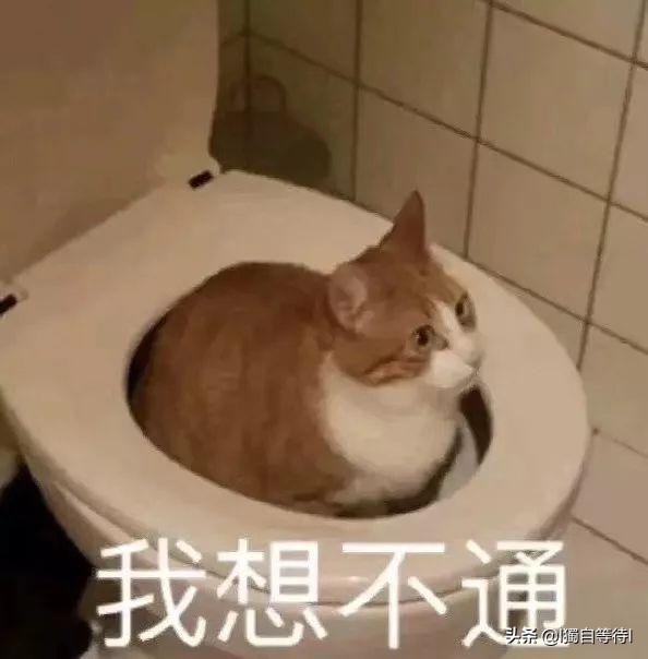 ps恶搞_ps恶搞图片