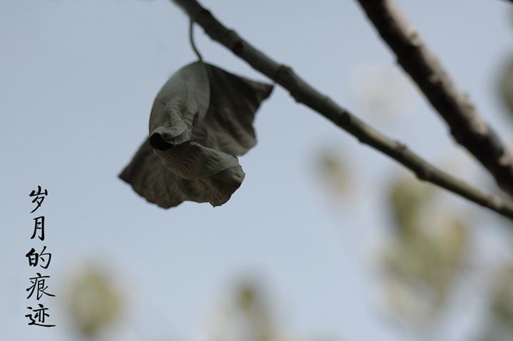 我还是曾经那个少年没有一丝丝改变_我还是曾经那个少年没有一丝丝改变时间只不过是考验