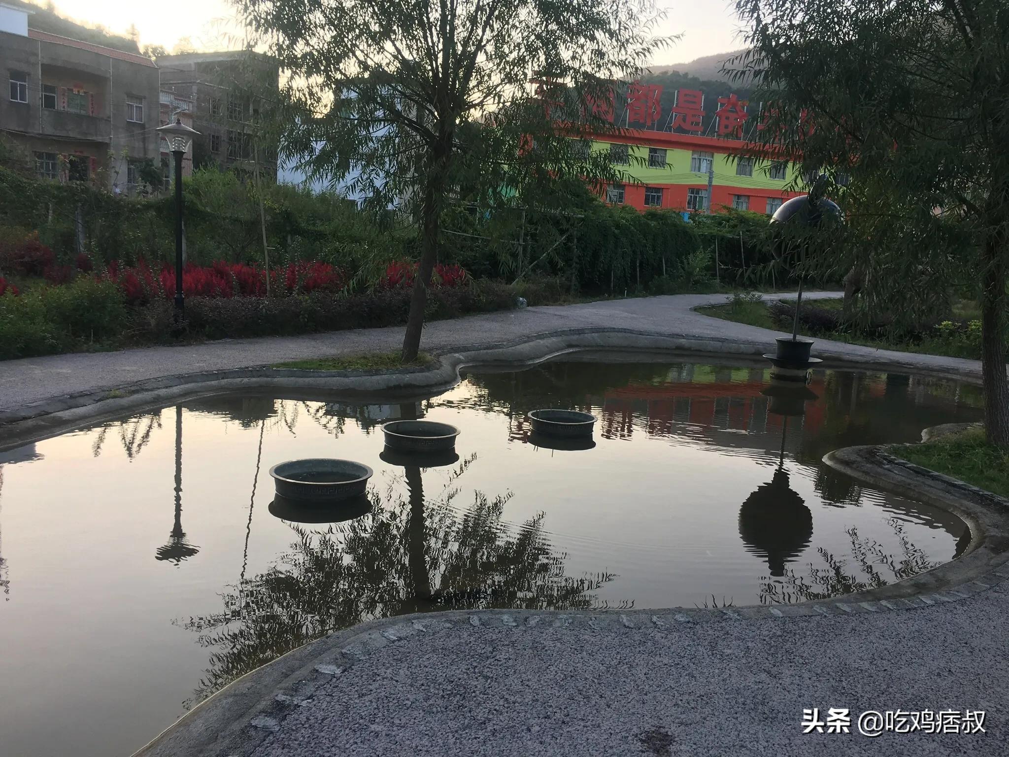 王者荣耀蔡文姬_王者荣耀蔡文姬图片