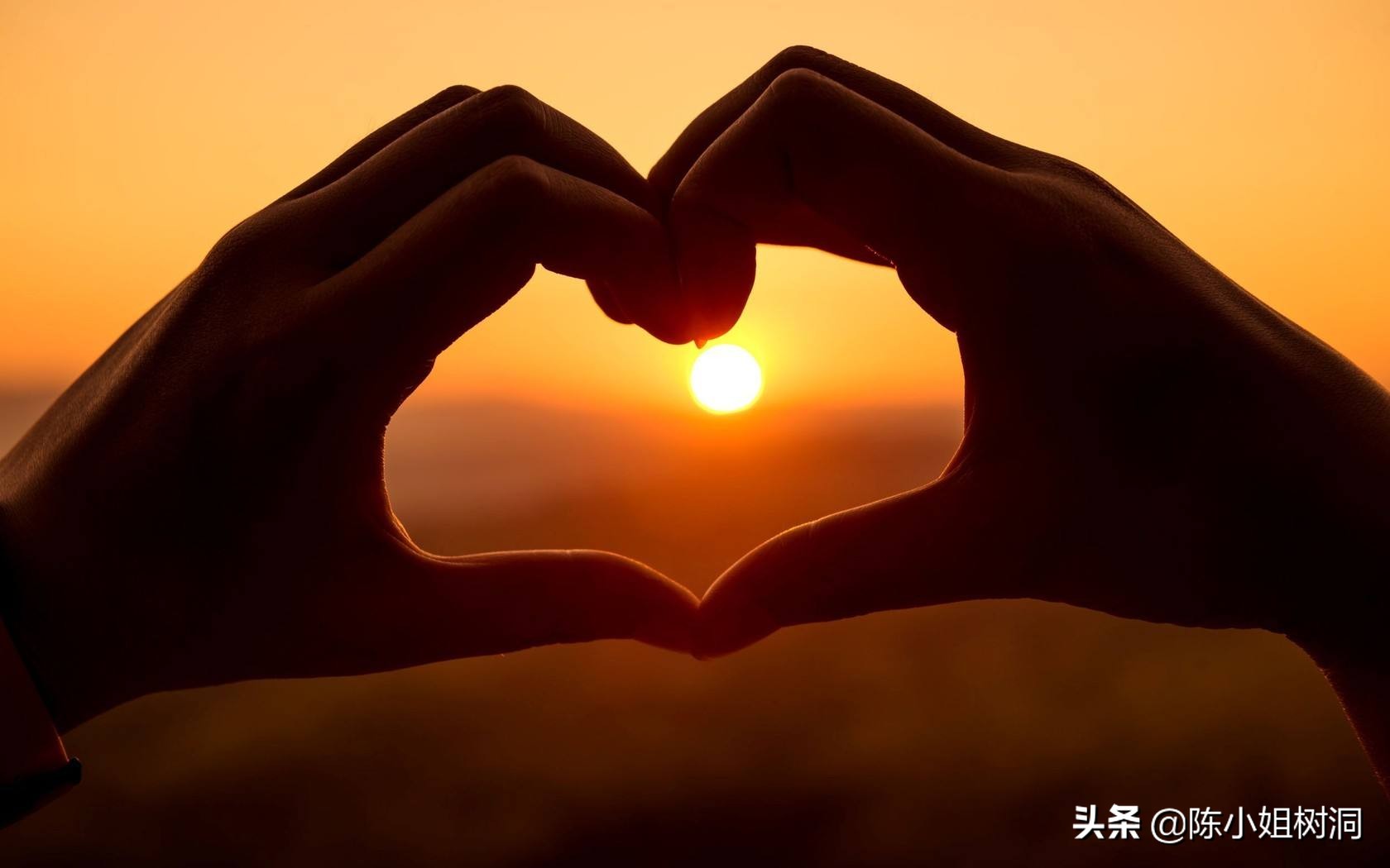 我对你有一点动心_我对你有一点动心歌词