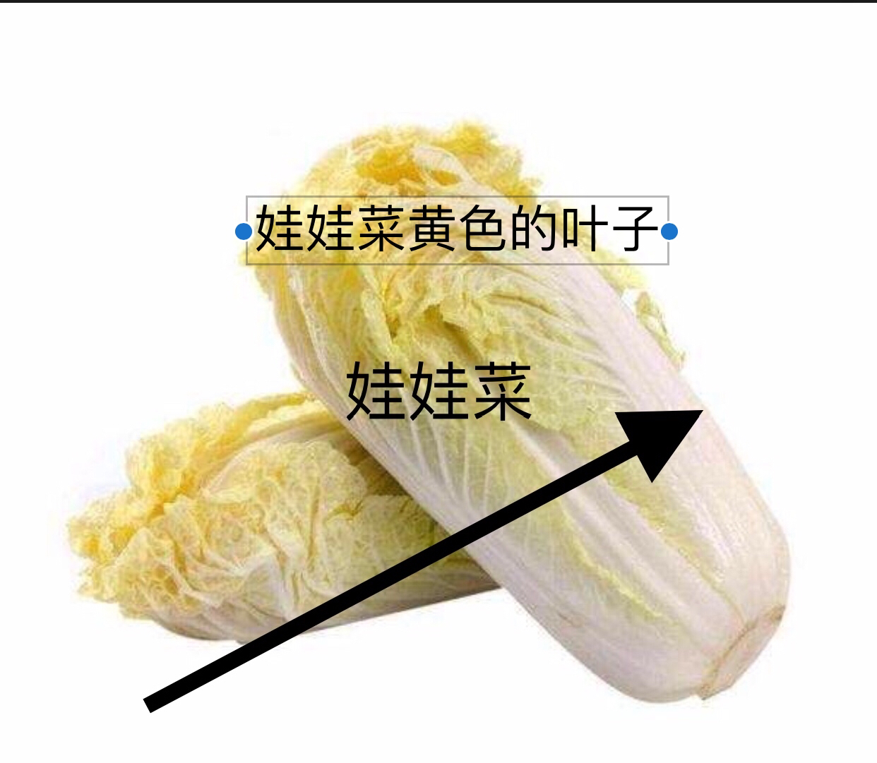 冬天是衣服蚂蚁庄园_冬天的衣服是什么