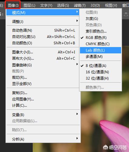 阿宝色调_阿宝色调是什么样的