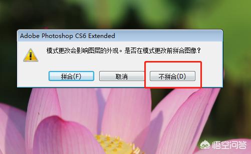 阿宝色调_阿宝色调是什么样的