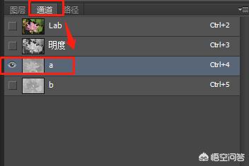 阿宝色调_阿宝色调是什么样的