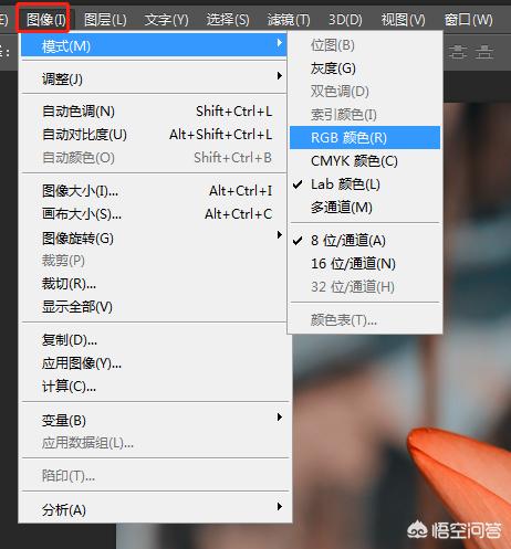 阿宝色调_阿宝色调是什么样的