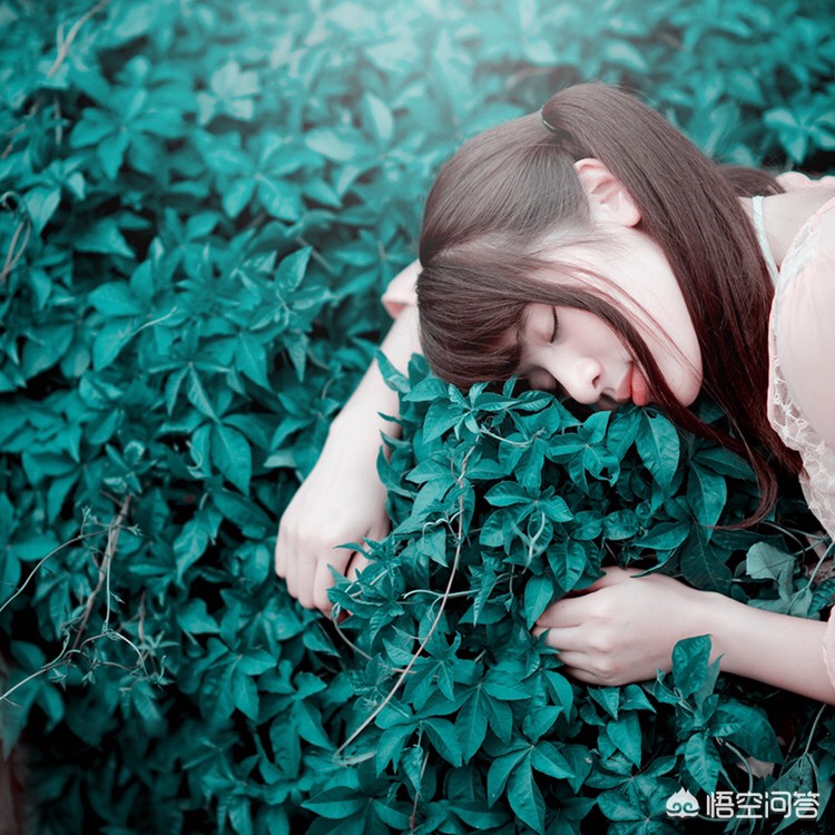 阿宝色调_阿宝色调是什么样的