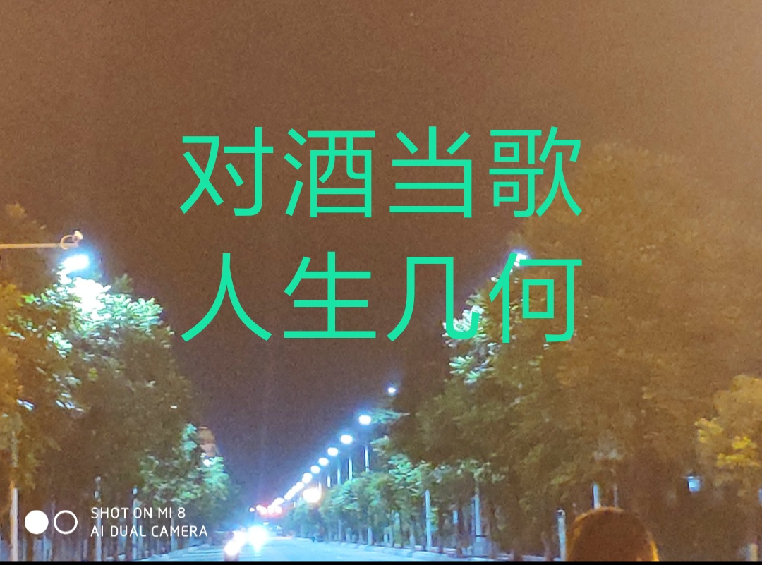 破虏_破虏将军