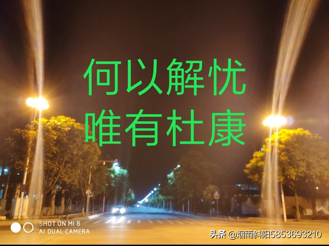 破虏_破虏将军