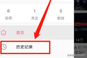 B站的全部历史记录_b站的全部历史记录在哪看