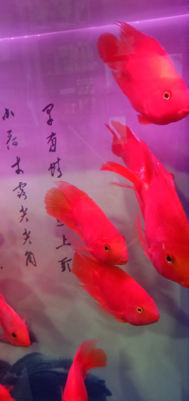 我和你本应该各自好各自坏_我和你本应该各自好各自坏是什么歌