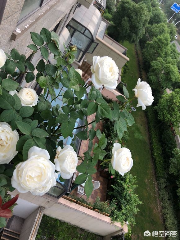dnf风暴女皇_dnf风暴女皇80技能叫什么