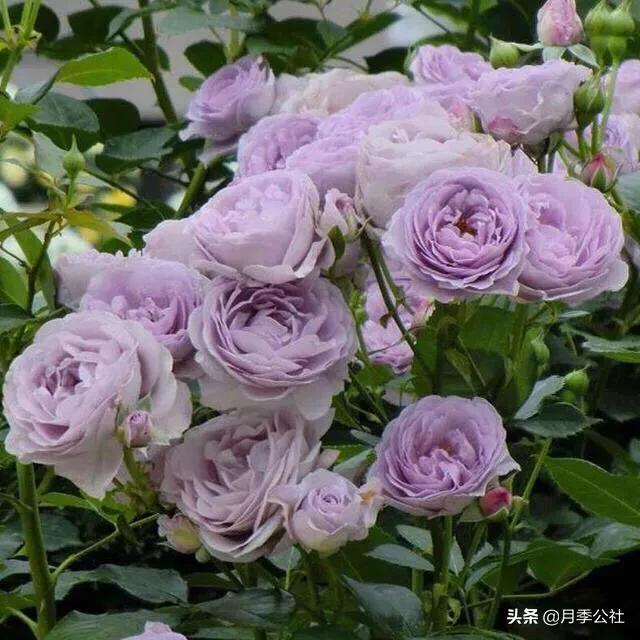 dnf风暴女皇_dnf风暴女皇80技能叫什么