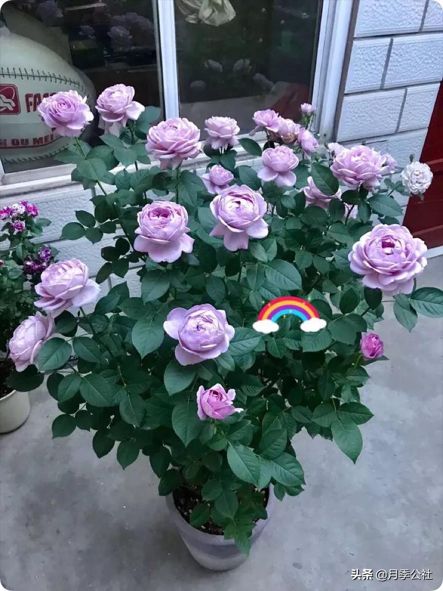 dnf风暴女皇_dnf风暴女皇80技能叫什么